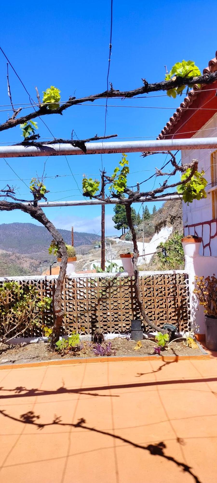 Casa Cueva Rural Trebola, Artenara Juncalillo Zewnętrze zdjęcie